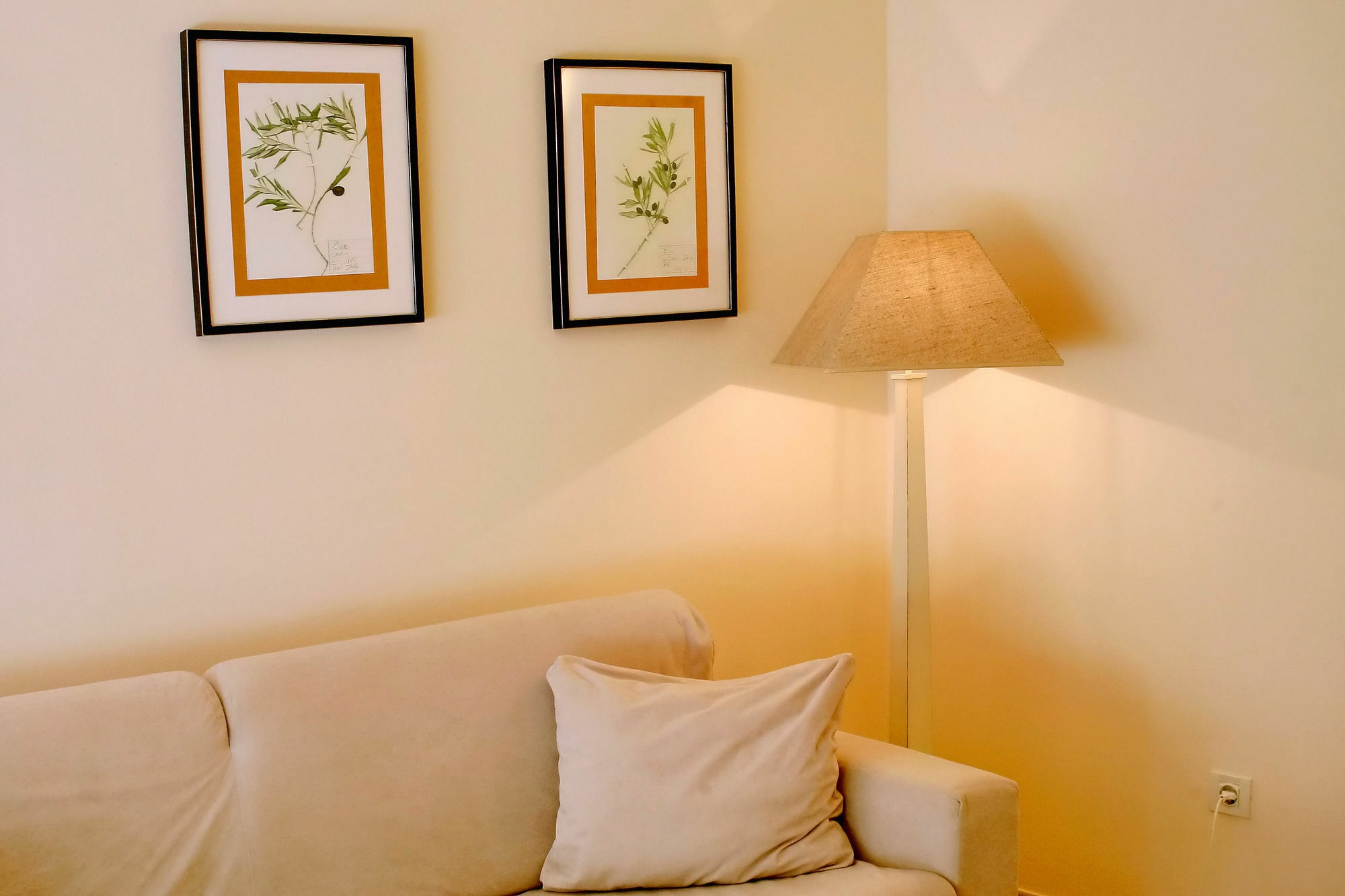 Angelo d'Oro Apartments Trevisol Rovigno Esterno foto